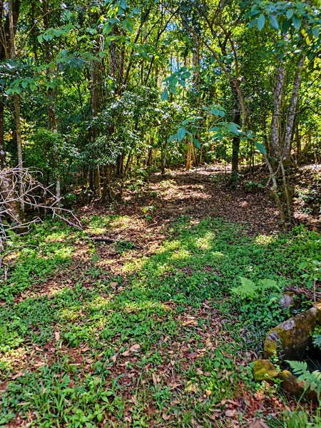 sitio a venda em gramado rs: 10ª foto da galeria de imagens do imóvel