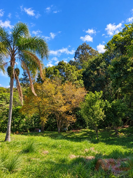 sitio a venda em gramado rs: 6ª foto da galeria de imagens do imóvel