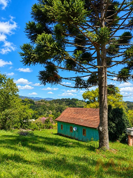 sitio a venda em gramado rs: 8ª foto da galeria de imagens do imóvel