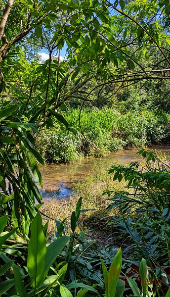 sitio a venda em gramado rs: 12ª foto da galeria de imagens do imóvel