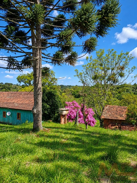 sitio a venda em gramado rs: 7ª foto da galeria de imagens do imóvel