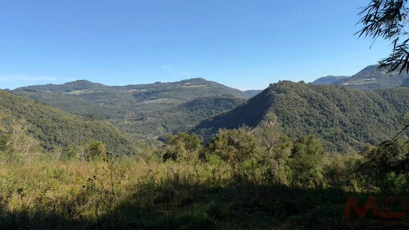 SITIO Á VENDA EM GRAMADO/RS -27 HECTARES POTENCIAL TURISTICO VISTA PARA O RIO CAÍ: 32ª foto da galeria de imagens do imóvel