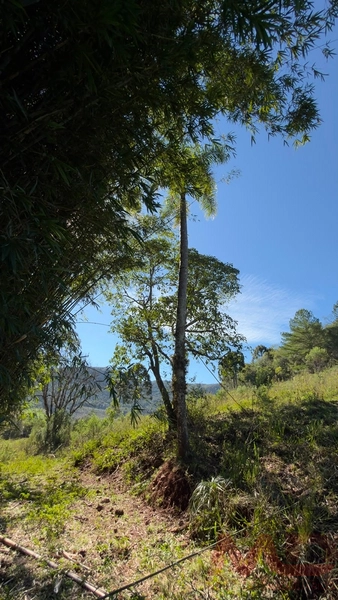 SITIO Á VENDA EM GRAMADO/RS -27 HECTARES POTENCIAL TURISTICO VISTA PARA O RIO CAÍ: 23ª foto da galeria de imagens do imóvel