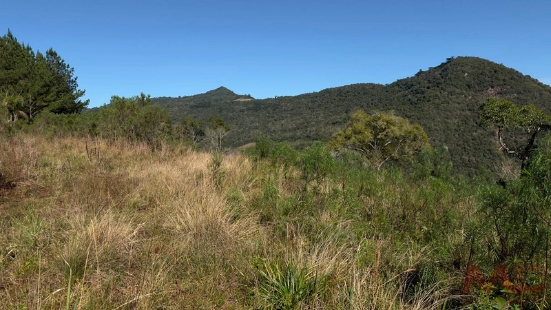 SITIO Á VENDA EM GRAMADO/RS -27 HECTARES POTENCIAL TURISTICO VISTA PARA O RIO CAÍ: 28ª foto da galeria de imagens do imóvel