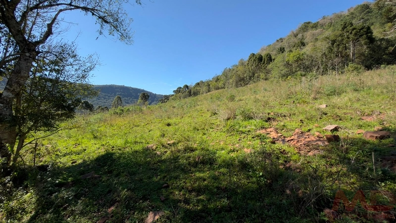 SITIO Á VENDA EM GRAMADO/RS -27 HECTARES POTENCIAL TURISTICO VISTA PARA O RIO CAÍ: 37ª foto da galeria de imagens do imóvel