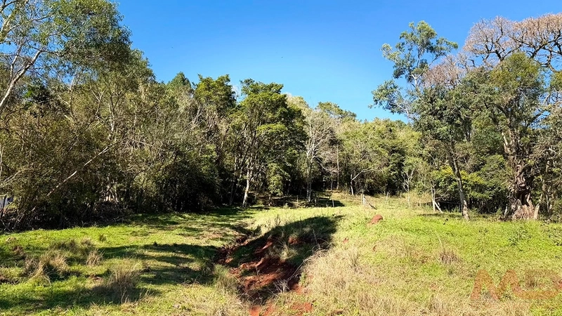 SITIO Á VENDA EM GRAMADO/RS -27 HECTARES POTENCIAL TURISTICO VISTA PARA O RIO CAÍ: 44ª foto da galeria de imagens do imóvel