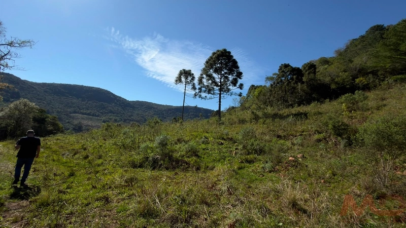 SITIO Á VENDA EM GRAMADO/RS -27 HECTARES POTENCIAL TURISTICO VISTA PARA O RIO CAÍ: 21ª foto da galeria de imagens do imóvel