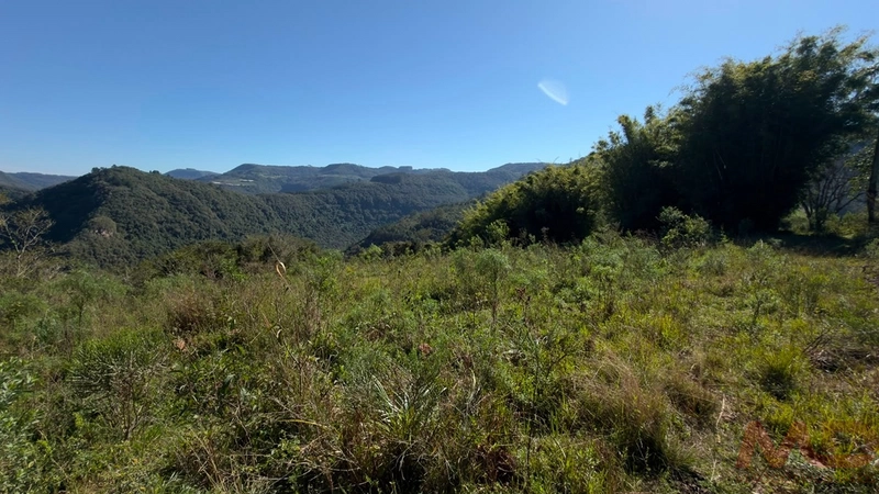 SITIO Á VENDA EM GRAMADO/RS -27 HECTARES POTENCIAL TURISTICO VISTA PARA O RIO CAÍ: 27ª foto da galeria de imagens do imóvel