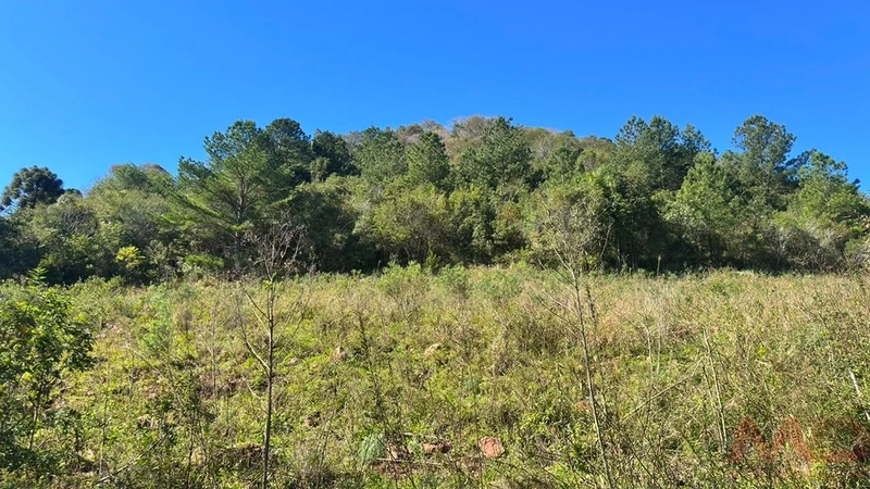 SITIO Á VENDA EM GRAMADO/RS -27 HECTARES POTENCIAL TURISTICO VISTA PARA O RIO CAÍ: 4ª foto da galeria de imagens do imóvel