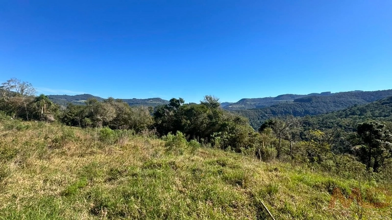 SITIO Á VENDA EM GRAMADO/RS -27 HECTARES POTENCIAL TURISTICO VISTA PARA O RIO CAÍ: 5ª foto da galeria de imagens do imóvel