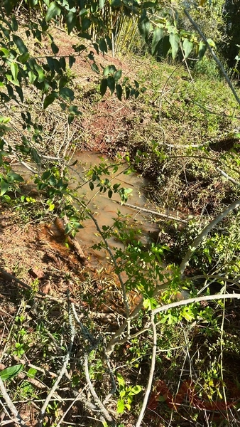 SITIO Á VENDA EM GRAMADO/RS -27 HECTARES POTENCIAL TURISTICO VISTA PARA O RIO CAÍ: 3ª foto da galeria de imagens do imóvel