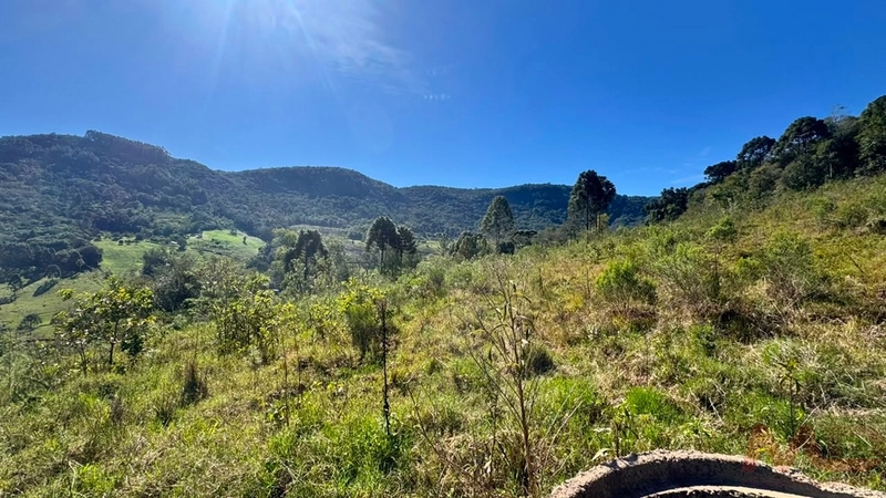 SITIO Á VENDA EM GRAMADO/RS -27 HECTARES POTENCIAL TURISTICO VISTA PARA O RIO CAÍ: 47ª foto da galeria de imagens do imóvel