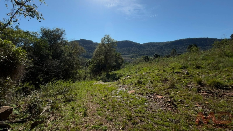 SITIO Á VENDA EM GRAMADO/RS -27 HECTARES POTENCIAL TURISTICO VISTA PARA O RIO CAÍ: 35ª foto da galeria de imagens do imóvel