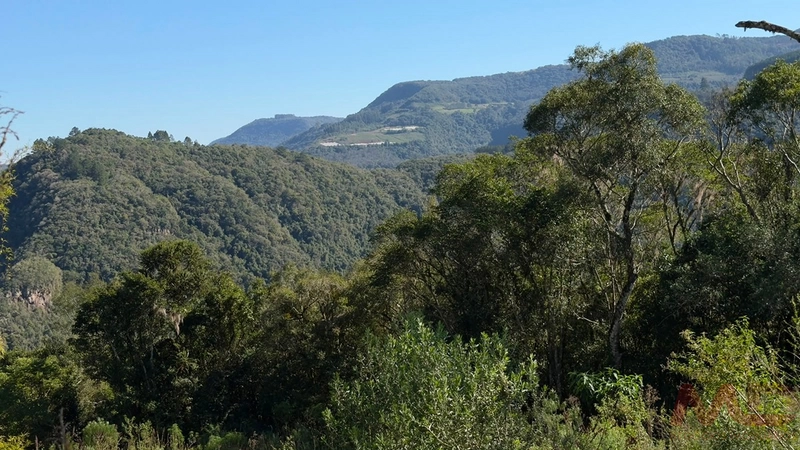 SITIO Á VENDA EM GRAMADO/RS -27 HECTARES POTENCIAL TURISTICO VISTA PARA O RIO CAÍ: 34ª foto da galeria de imagens do imóvel