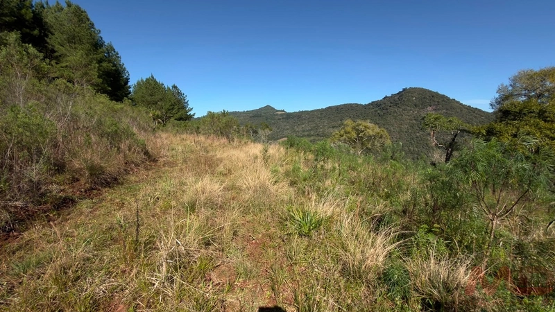 SITIO Á VENDA EM GRAMADO/RS -27 HECTARES POTENCIAL TURISTICO VISTA PARA O RIO CAÍ: 30ª foto da galeria de imagens do imóvel