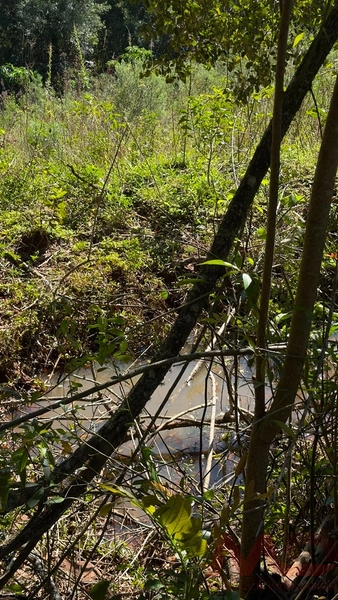 SITIO Á VENDA EM GRAMADO/RS -27 HECTARES POTENCIAL TURISTICO VISTA PARA O RIO CAÍ: 33ª foto da galeria de imagens do imóvel