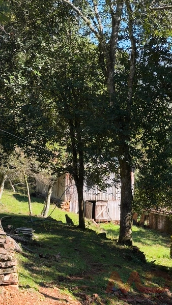 SITIO Á VENDA EM GRAMADO/RS -27 HECTARES POTENCIAL TURISTICO VISTA PARA O RIO CAÍ: 26ª foto da galeria de imagens do imóvel