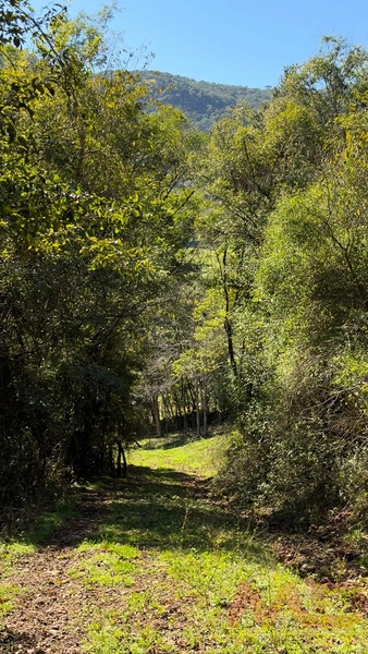 SITIO Á VENDA EM GRAMADO/RS -27 HECTARES POTENCIAL TURISTICO VISTA PARA O RIO CAÍ: 38ª foto da galeria de imagens do imóvel