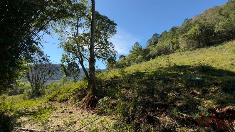 SITIO Á VENDA EM GRAMADO/RS -27 HECTARES POTENCIAL TURISTICO VISTA PARA O RIO CAÍ: 24ª foto da galeria de imagens do imóvel