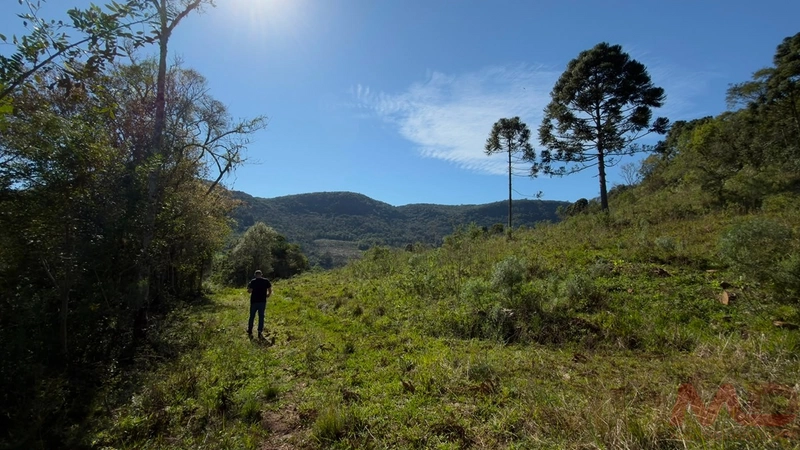 SITIO Á VENDA EM GRAMADO/RS -27 HECTARES POTENCIAL TURISTICO VISTA PARA O RIO CAÍ: 20ª foto da galeria de imagens do imóvel