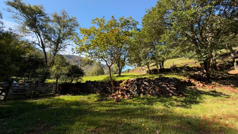 SITIO Á VENDA EM GRAMADO/RS -27 HECTARES POTENCIAL TURISTICO VISTA PARA O RIO CAÍ: 14ª foto da galeria de imagens do imóvel