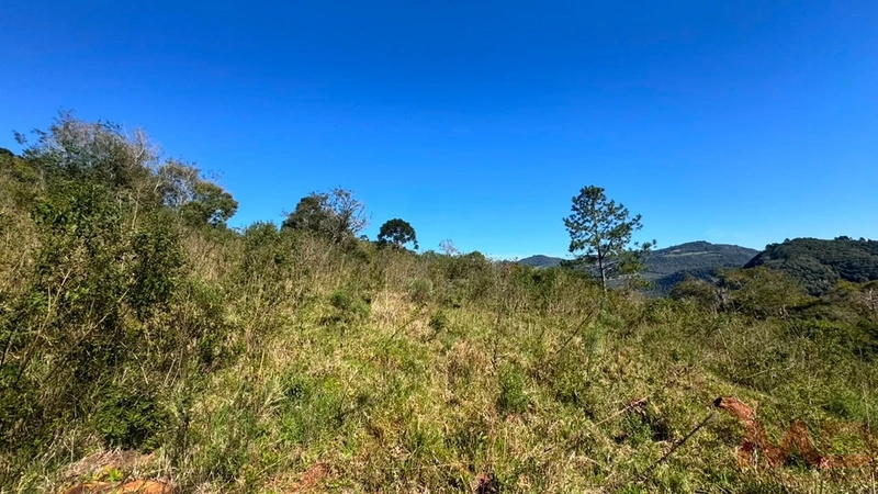 SITIO Á VENDA EM GRAMADO/RS -27 HECTARES POTENCIAL TURISTICO VISTA PARA O RIO CAÍ: 9ª foto da galeria de imagens do imóvel