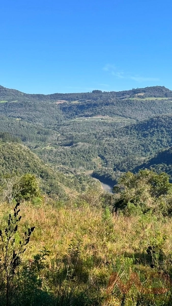 SITIO Á VENDA EM GRAMADO/RS -27 HECTARES POTENCIAL TURISTICO VISTA PARA O RIO CAÍ: 6ª foto da galeria de imagens do imóvel