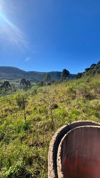 SITIO Á VENDA EM GRAMADO/RS -27 HECTARES POTENCIAL TURISTICO VISTA PARA O RIO CAÍ: 7ª foto da galeria de imagens do imóvel