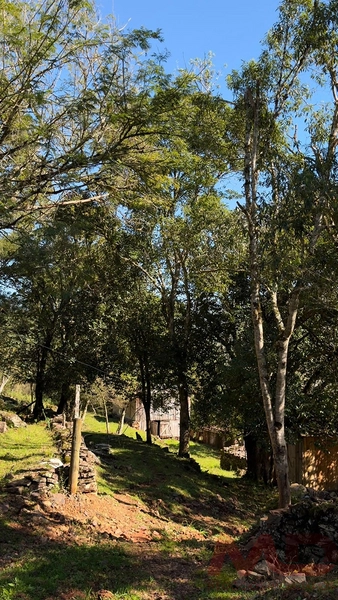SITIO Á VENDA EM GRAMADO/RS -27 HECTARES POTENCIAL TURISTICO VISTA PARA O RIO CAÍ: 25ª foto da galeria de imagens do imóvel