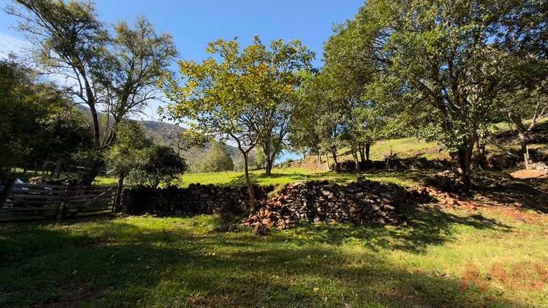SITIO Á VENDA EM GRAMADO/RS -27 HECTARES POTENCIAL TURISTICO VISTA PARA O RIO CAÍ: 11ª foto da galeria de imagens do imóvel