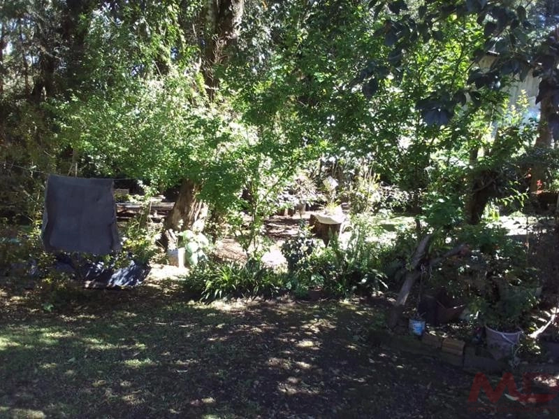 Casa a venda em Canela.: 8ª foto da galeria de imagens do imóvel