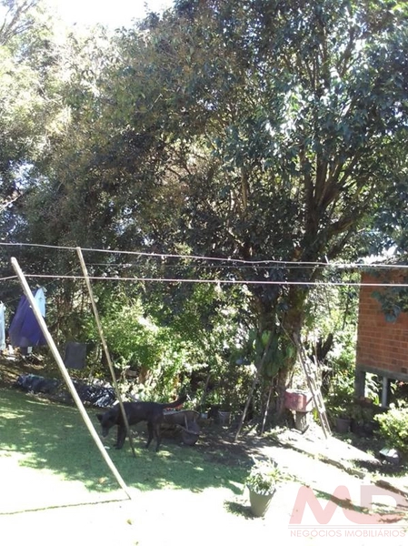 Casa a venda em Canela.: 10ª foto da galeria de imagens do imóvel