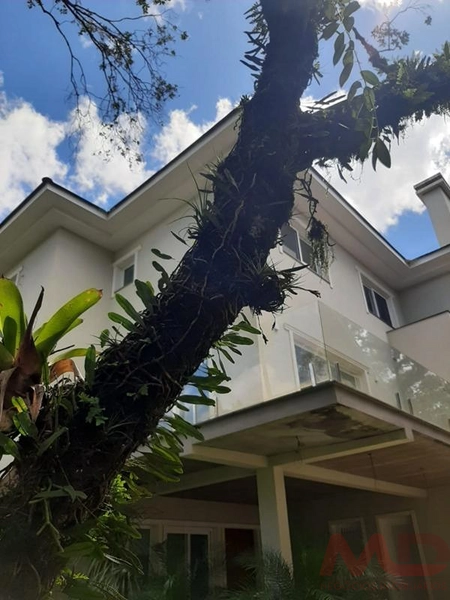 Casa a venda em Canela.: 13ª foto da galeria de imagens do imóvel