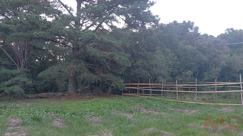 TERRENO EM CONDOMINIO EM CANELA RS: 3ª foto da galeria de imagens do imóvel