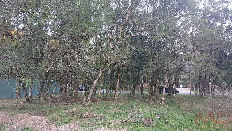 TERRENO EM CONDOMINIO EM CANELA RS: 12ª foto da galeria de imagens do imóvel
