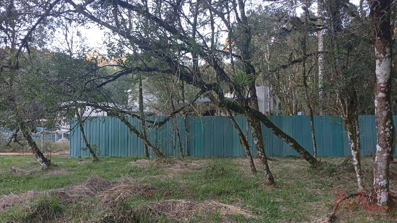TERRENO EM CONDOMINIO EM CANELA RS: 8ª foto da galeria de imagens do imóvel