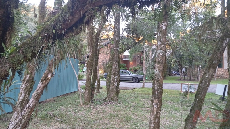 TERRENO EM CONDOMINIO EM CANELA RS: 7ª foto da galeria de imagens do imóvel