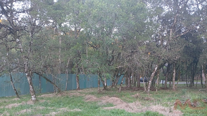 TERRENO EM CONDOMINIO EM CANELA RS: 11ª foto da galeria de imagens do imóvel