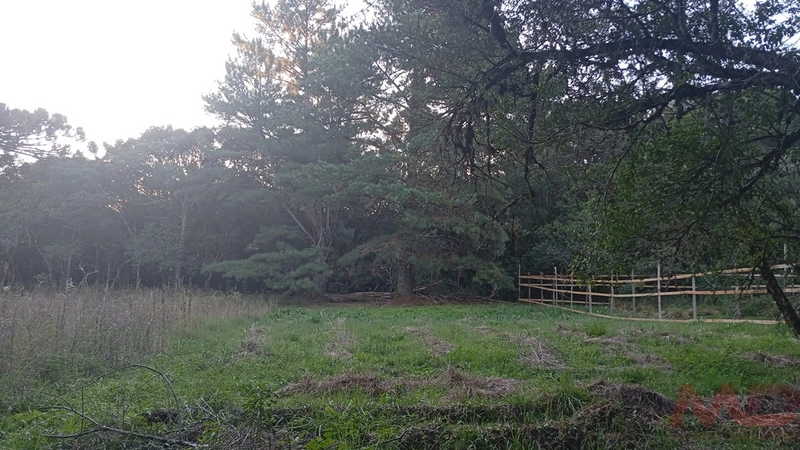 TERRENO EM CONDOMINIO EM CANELA RS: 2ª foto da galeria de imagens do imóvel