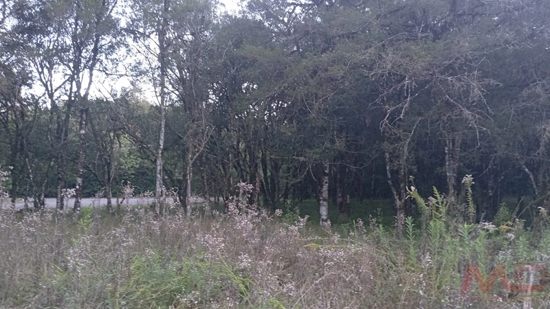 TERRENO EM CONDOMINIO EM CANELA RS: 13ª foto da galeria de imagens do imóvel