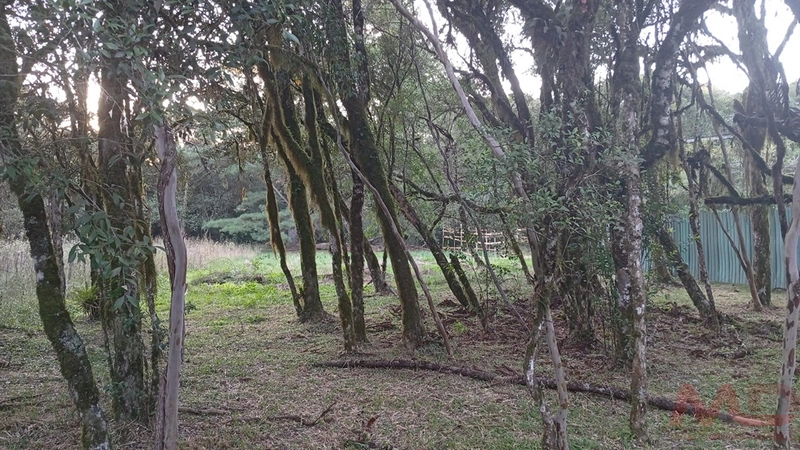 TERRENO EM CONDOMINIO EM CANELA RS: 5ª foto da galeria de imagens do imóvel