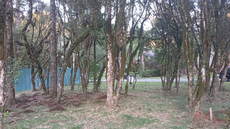 TERRENO EM CONDOMINIO EM CANELA RS: 9ª foto da galeria de imagens do imóvel