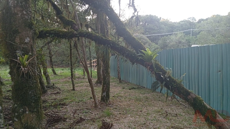 TERRENO EM CONDOMINIO EM CANELA RS: 6ª foto da galeria de imagens do imóvel
