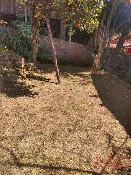Casa a venda em Canela.: 11ª foto da galeria de imagens do imóvel