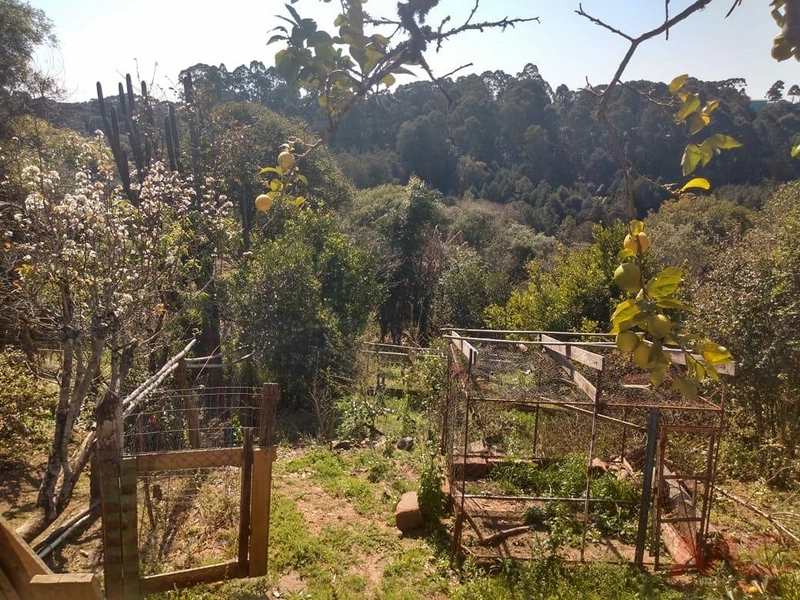 Casa a venda em Canela.: 3ª foto da galeria de imagens do imóvel