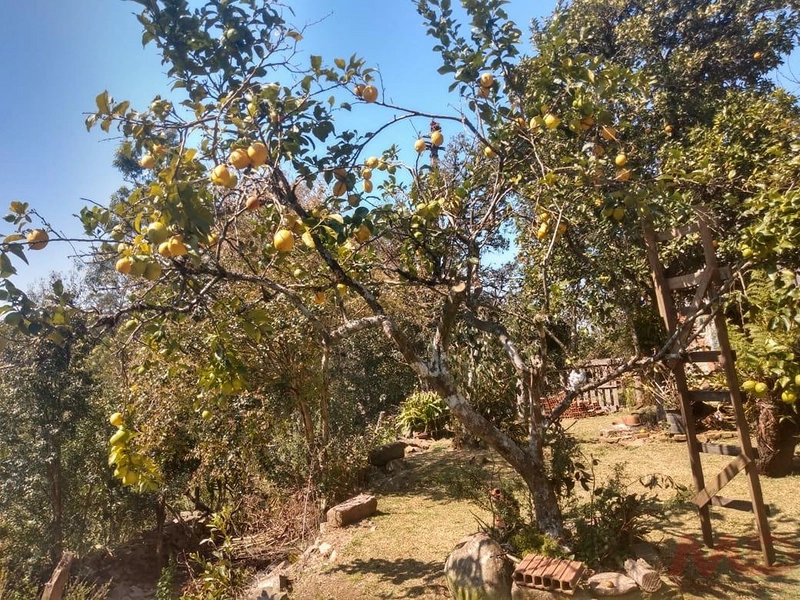 Casa a venda em Canela.: 6ª foto da galeria de imagens do imóvel