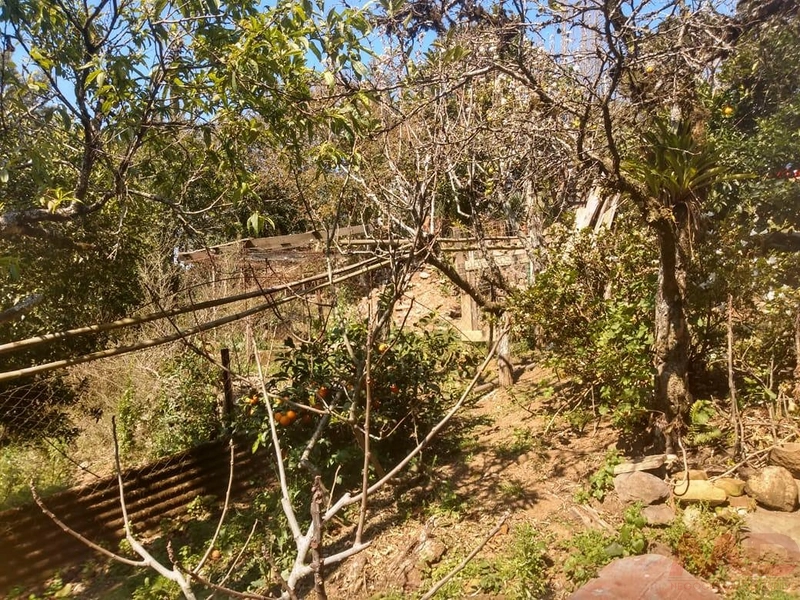 Casa a venda em Canela.: 14ª foto da galeria de imagens do imóvel