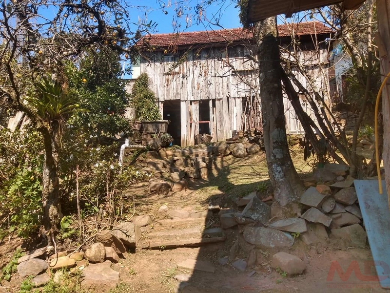 Casa a venda em Canela.: 23ª foto da galeria de imagens do imóvel