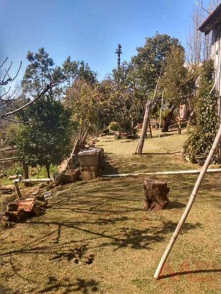 Casa a venda em Canela.: 4ª foto da galeria de imagens do imóvel