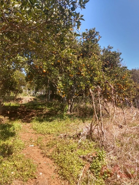 Casa a venda em Canela.: 2ª foto da galeria de imagens do imóvel
